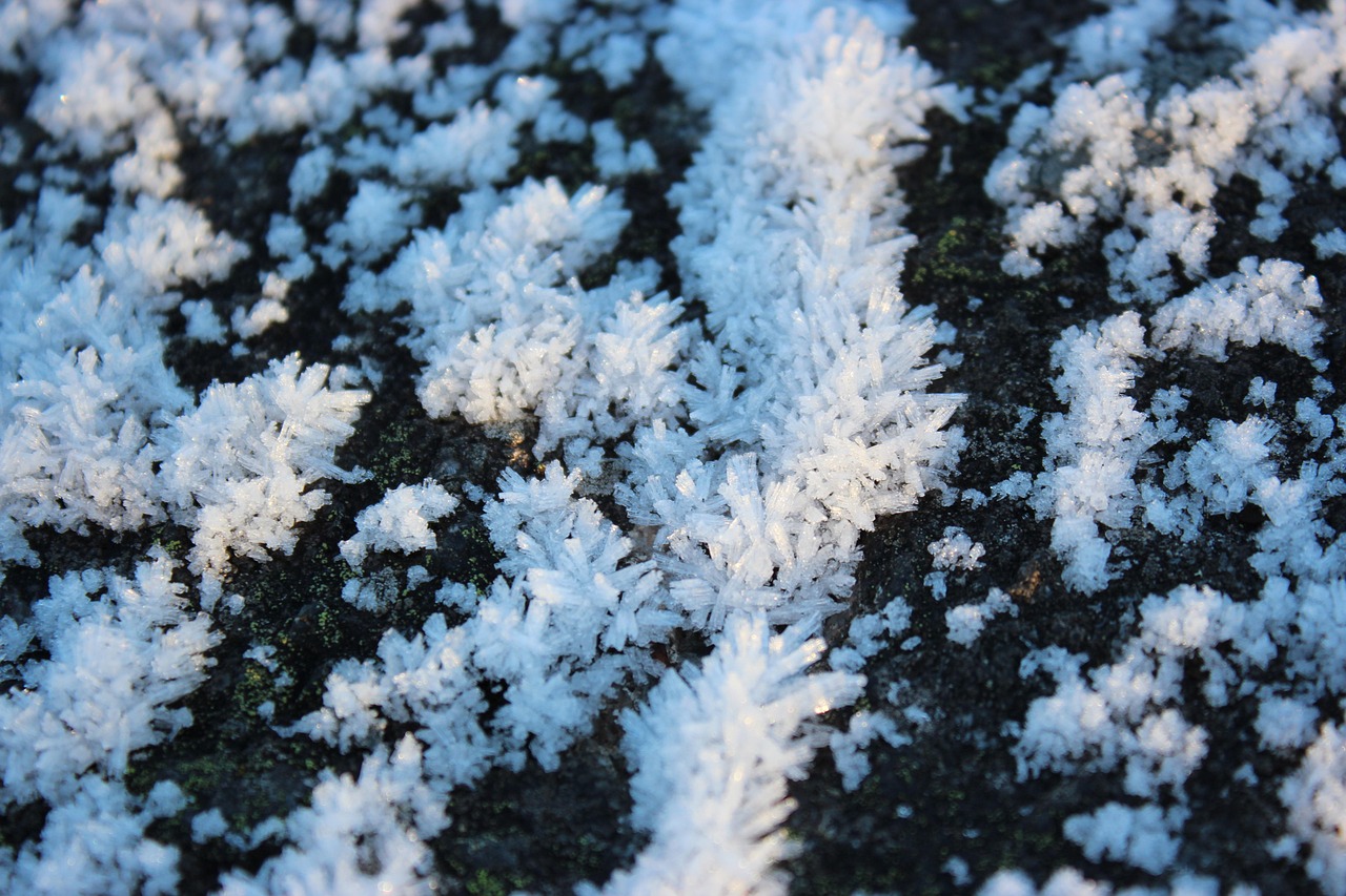 永久脱毛の口コミで知っておくべきポイントは？
