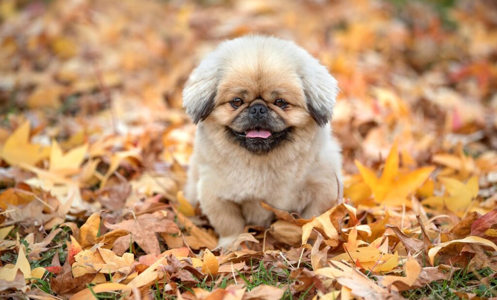 医療脱毛で痛くない方法はどれ？