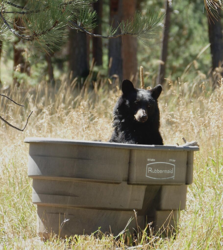 脱毛後のお風呂に入る際の注意点は？