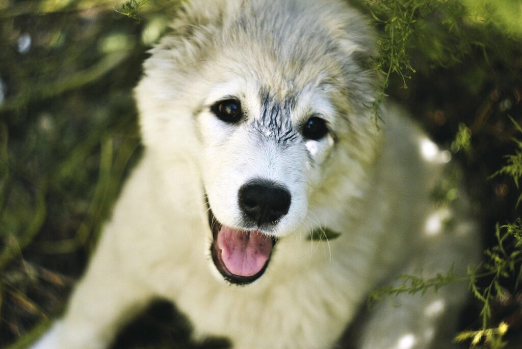 顔脱毛で気になる産毛の処理方法は？