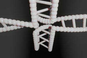 Iラインの医療脱毛を受ける前に知っておくべき無料カウンセリングのポイントは？