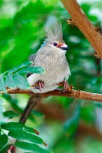 うなじの医療脱毛でおすすめのクリニックは？