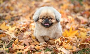 うなじの医療脱毛でやけどを防ぐためのポイントは？