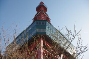 札幌で医療脱毛を受ける際のポイントは？