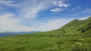 福岡での医療脱毛は毛嚢炎のリスクをどう回避する？