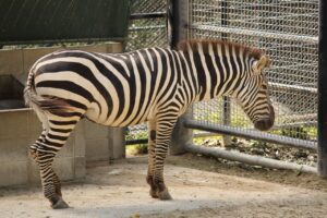 福岡で敏感肌におすすめの医療脱毛はどこ？